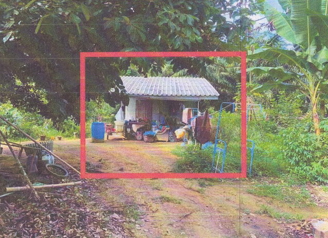 ขายทอดตลาด ที่ดินพร้อมสิ่งปลูกสร้าง ต.เขาคราม อ.เมืองกระบี่ จ.กระบี่