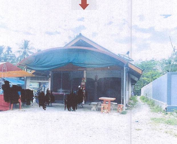 ขายทอดตลาด ที่ดินพร้อมสิ่งปลูกสร้าง ต.คลองพน อ.คลองท่อม จ.กระบี่