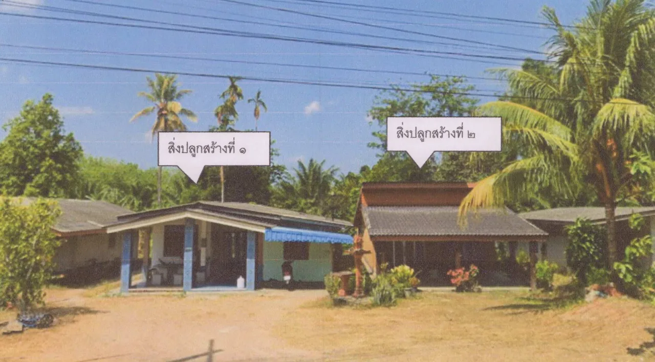 ขายทอดตลาด ที่ดินพร้อมสิ่งปลูกสร้าง ต.นาชุมเห็ด อ.ย่านตาขาว จ.ตรัง