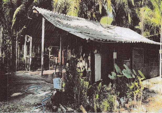 ขายทอดตลาด ที่ดินพร้อมสิ่งปลูกสร้าง ต.ทุ่งไทรทอง อ.ลำทับ จ.กระบี่