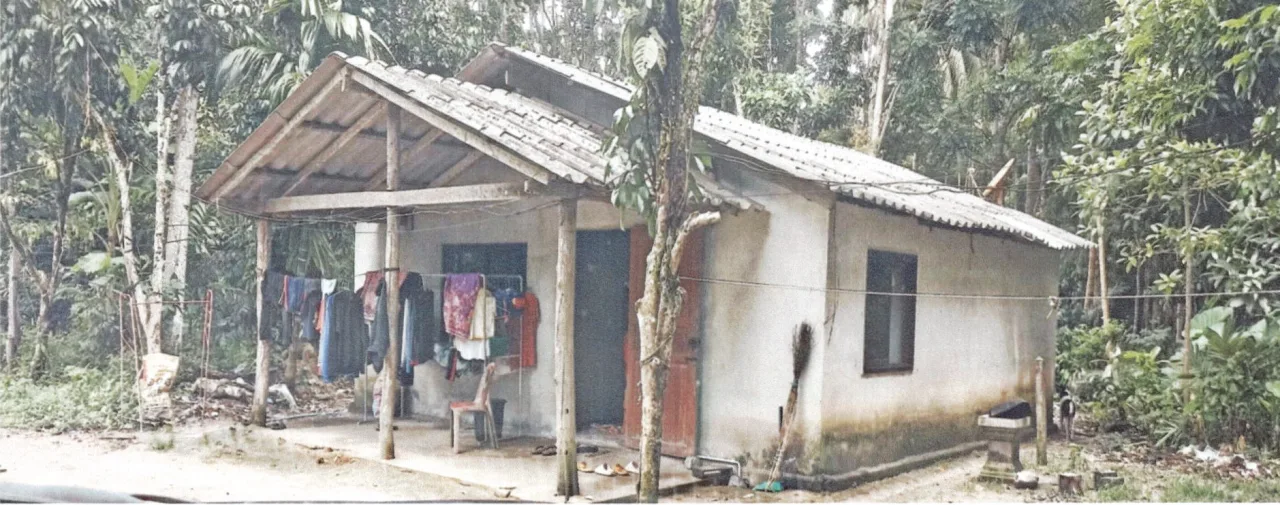 ขายทอดตลาด ที่ดินพร้อมสิ่งปลูกสร้าง ต.หน้าเขา อ.เขาพนม จ.กระบี่