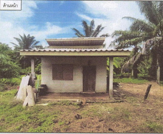 ขายทอดตลาด ที่ดินพร้อมสิ่งปลูกสร้าง ต.คลองขนาน อ.เหนือคลอง จ.กระบี่