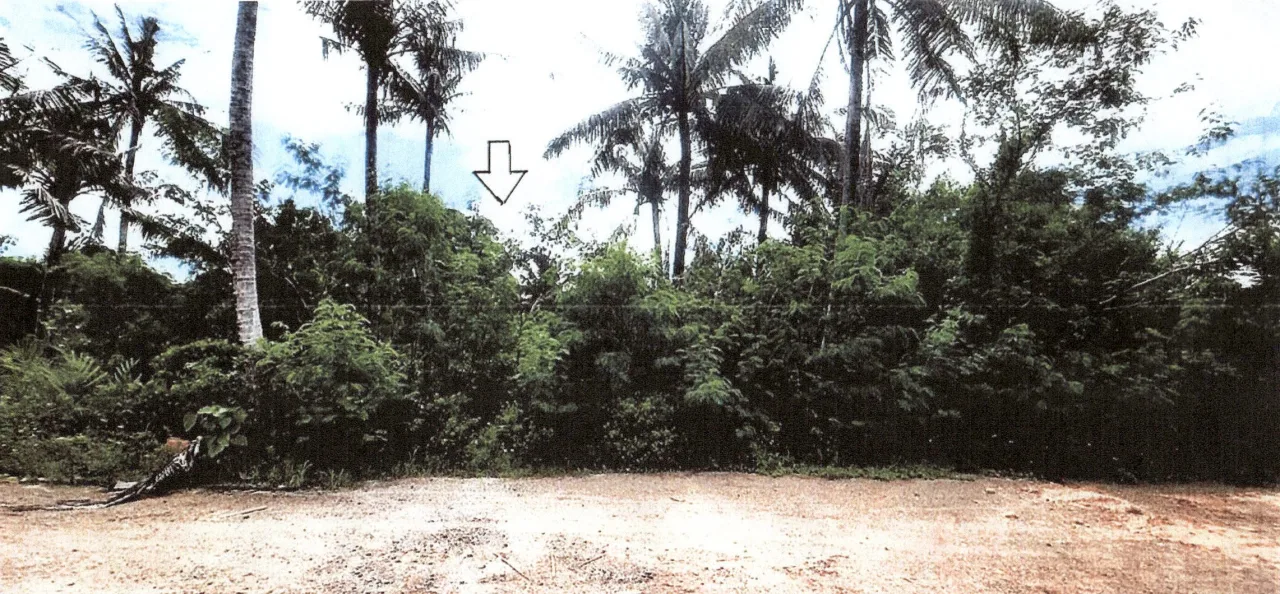 ขายทอดตลาด ที่ดินว่างเปล่า ต.ไสไทย อ.เมืองกระบี่ จ.กระบี่