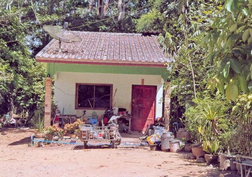 ขายทอดตลาด ที่ดินพร้อมสิ่งปลูกสร้าง ต.แหลมสอม อ.ปะเหลียน จ.ตรัง