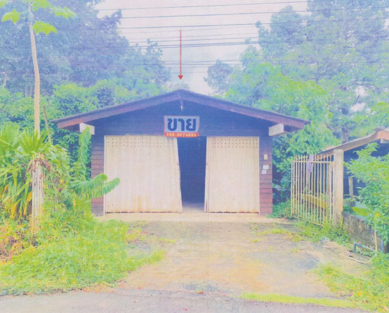 ขายทอดตลาด ที่ดินพร้อมสิ่งปลูกสร้าง ต.นาท่ามเหนือ อ.เมืองตรัง จ.ตรัง