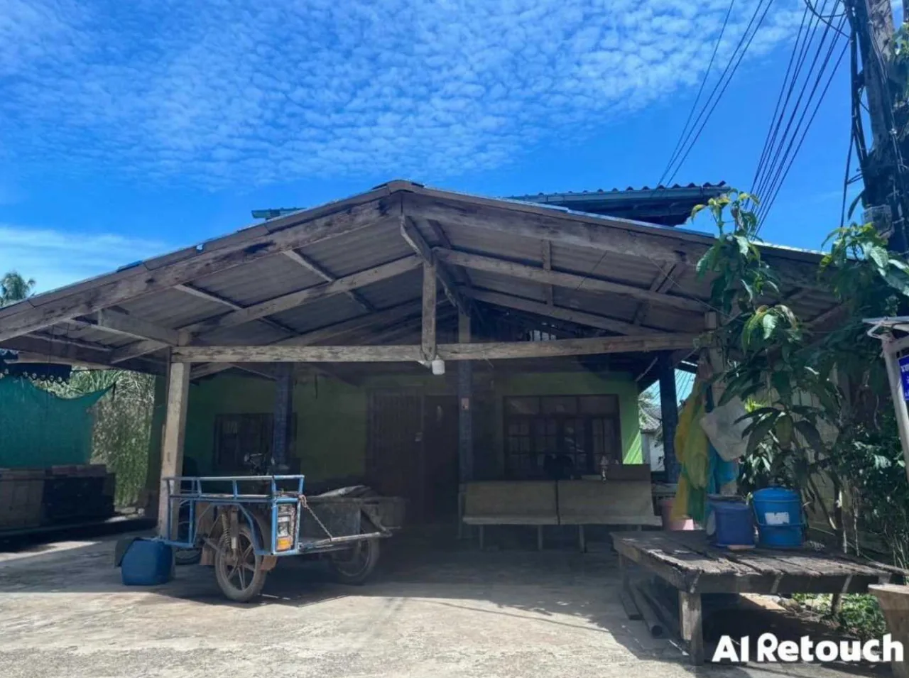 ขายทอดตลาด ที่ดินพร้อมสิ่งปลูกสร้าง ต.ลิพัง อ.ปะเหลียน จ.ตรัง