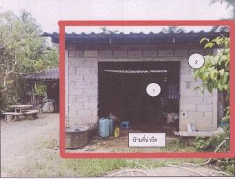ขายทอดตลาด ที่ดินพร้อมสิ่งปลูกสร้าง ต.ทับเที่ยง อ.เมืองตรัง จ.ตรัง