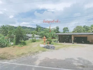 รูปทรัพย์ 2