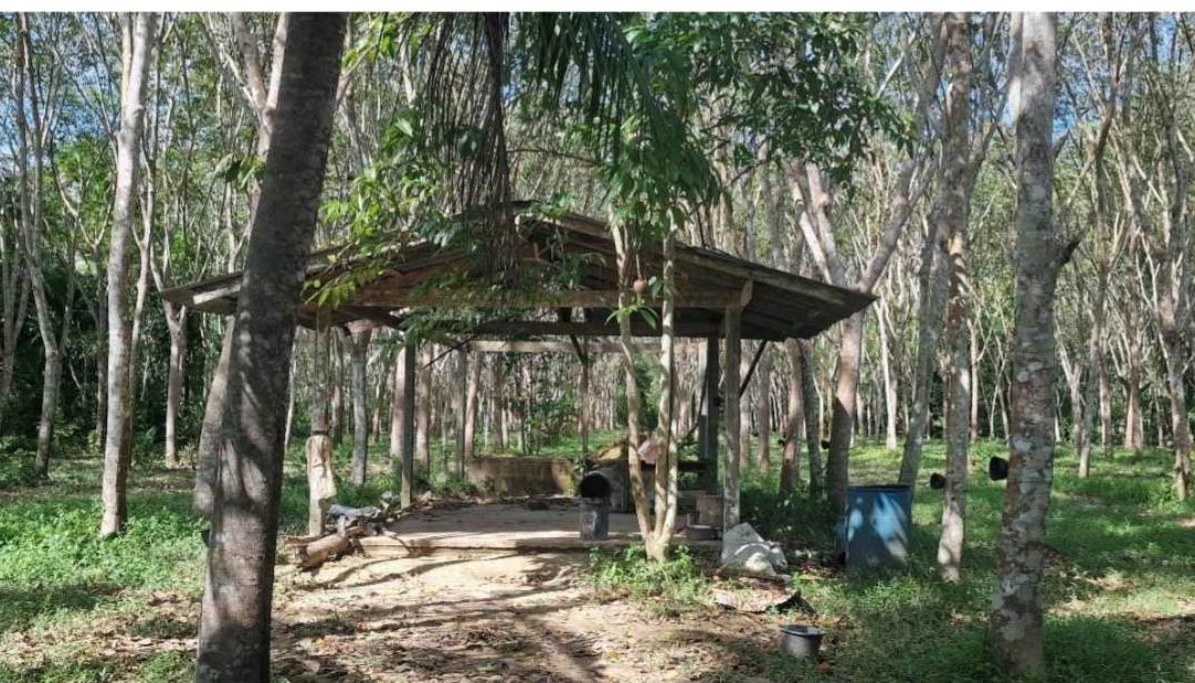 ขายทอดตลาด ที่ดินพร้อมสิ่งปลูกสร้าง ต.ลำภูรา อ.ห้วยยอด จ.ตรัง