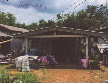 ขายทอดตลาด ที่ดินพร้อมสิ่งปลูกสร้าง ต.เขากอบ อ.ห้วยยอด จ.ตรัง