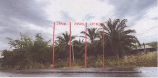 รูปทรัพย์ 1