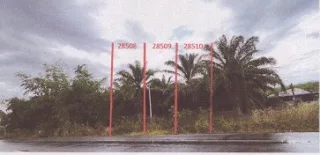 รูปทรัพย์ 2