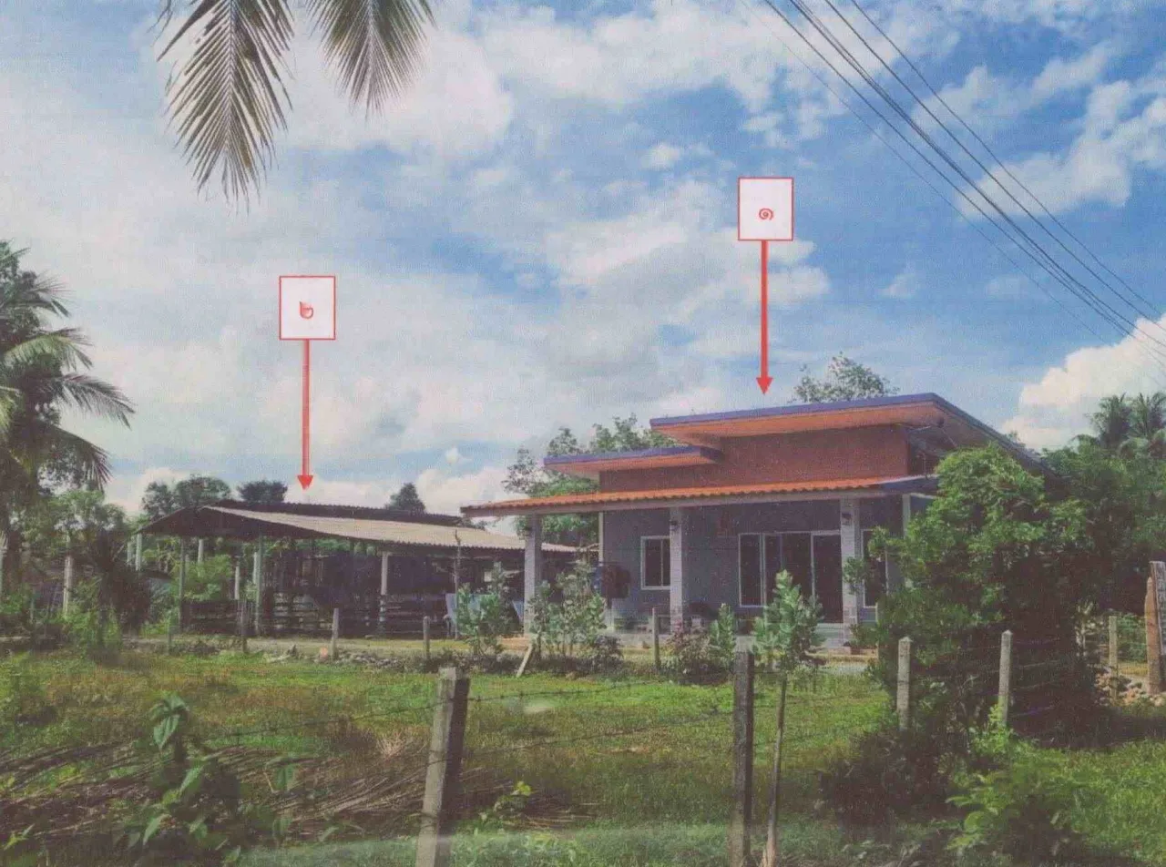 ขายทอดตลาด ที่ดินพร้อมสิ่งปลูกสร้าง ต.นาโยงใต้ อ.เมืองตรัง จ.ตรัง