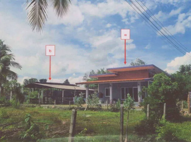 ขายทอดตลาด ที่ดินพร้อมสิ่งปลูกสร้าง ต.นาโยงใต้ อ.เมืองตรัง จ.ตรัง