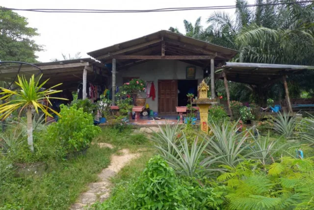 ขายทอดตลาด ที่ดินพร้อมสิ่งปลูกสร้าง ต.กะลาเส อ.สิเกา จ.ตรัง