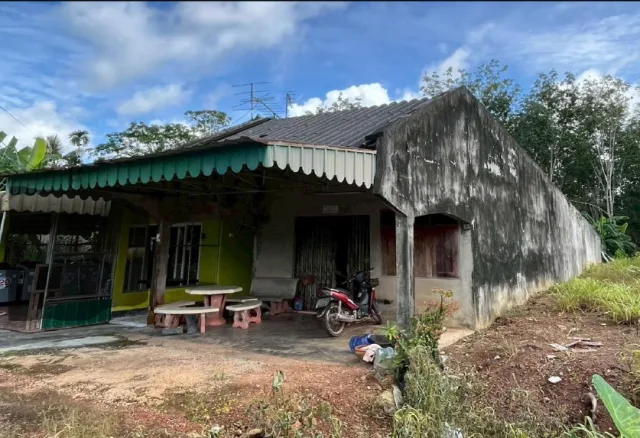 ขายทอดตลาด ที่ดินพร้อมสิ่งปลูกสร้าง ต.แหลมสอม อ.ปะเหลียน จ.ตรัง