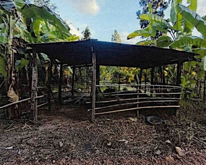 ขายทอดตลาด ที่ดินพร้อมสิ่งปลูกสร้าง ต.โคกงาม อ.บ้านฝาง จ.ขอนแก่น