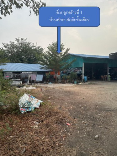 ขายทอดตลาด ที่ดินพร้อมสิ่งปลูกสร้าง ต.คลองนา อ.เมืองฉะเชิงเทรา จ.ฉะเชิงเทรา