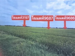 รูปทรัพย์ 3