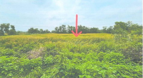 ขายทอดตลาด ที่ดินว่างเปล่า ต.บ้านดอนเกาะกา อ.บางน้ำเปรี้ยว จ.ฉะเชิงเทรา