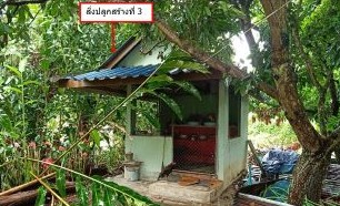 ขายทอดตลาด ที่ดินพร้อมสิ่งปลูกสร้าง ต.ป่าไหน่ อ.พร้าว จ.เชียงใหม่