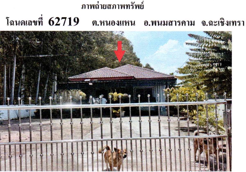 ขายทอดตลาด ที่ดินพร้อมสิ่งปลูกสร้าง ต.หนองแหน อ.พนมสารคาม จ.ฉะเชิงเทรา