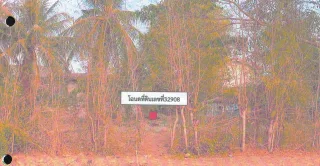รูปทรัพย์ 2