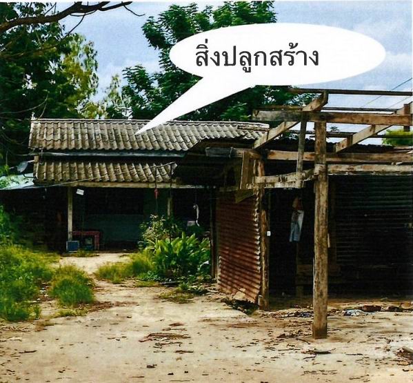 ขายทอดตลาด ที่ดินพร้อมสิ่งปลูกสร้าง ต.แม่ลาด อ.คลองขลุง จ.กำแพงเพชร