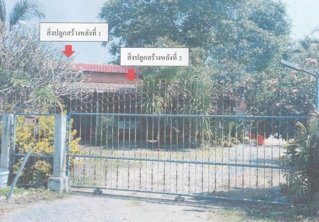 ขายทอดตลาด ที่ดินพร้อมสิ่งปลูกสร้าง ต.ทุ่งทราย อ.ทรายทองวัฒนา จ.กำแพงเพชร