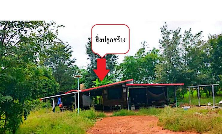 ขายทอดตลาด ที่ดินพร้อมสิ่งปลูกสร้าง ต.คลองขลุง อ.คลองขลุง จ.กำแพงเพชร