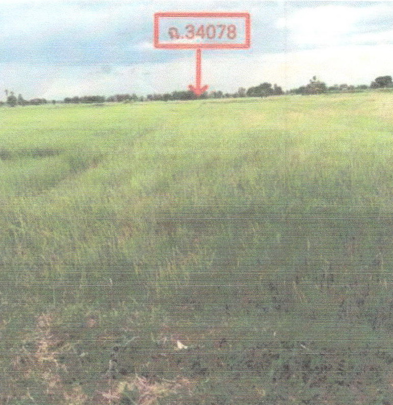 ขายทอดตลาด ที่ดินว่างเปล่า ต.บ้านค่าย อ.เมืองชัยภูมิ จ.ชัยภูมิ