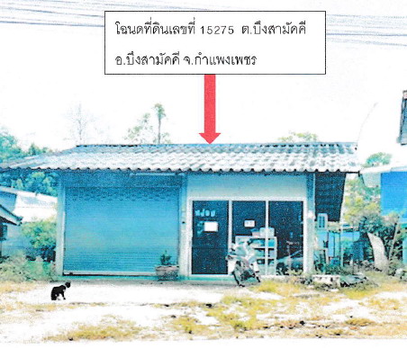 ขายทอดตลาด ที่ดินพร้อมสิ่งปลูกสร้าง ต.บึงสามัคคี อ.บึงสามัคคี จ.กำแพงเพชร