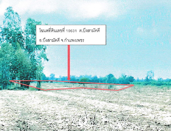 ขายทอดตลาด ที่ดินว่างเปล่า ต.บึงสามัคคี อ.บึงสามัคคี จ.กำแพงเพชร