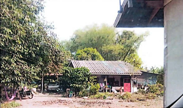 ขายทอดตลาด ที่ดินพร้อมสิ่งปลูกสร้าง ต.วังแขม อ.คลองขลุง จ.กำแพงเพชร