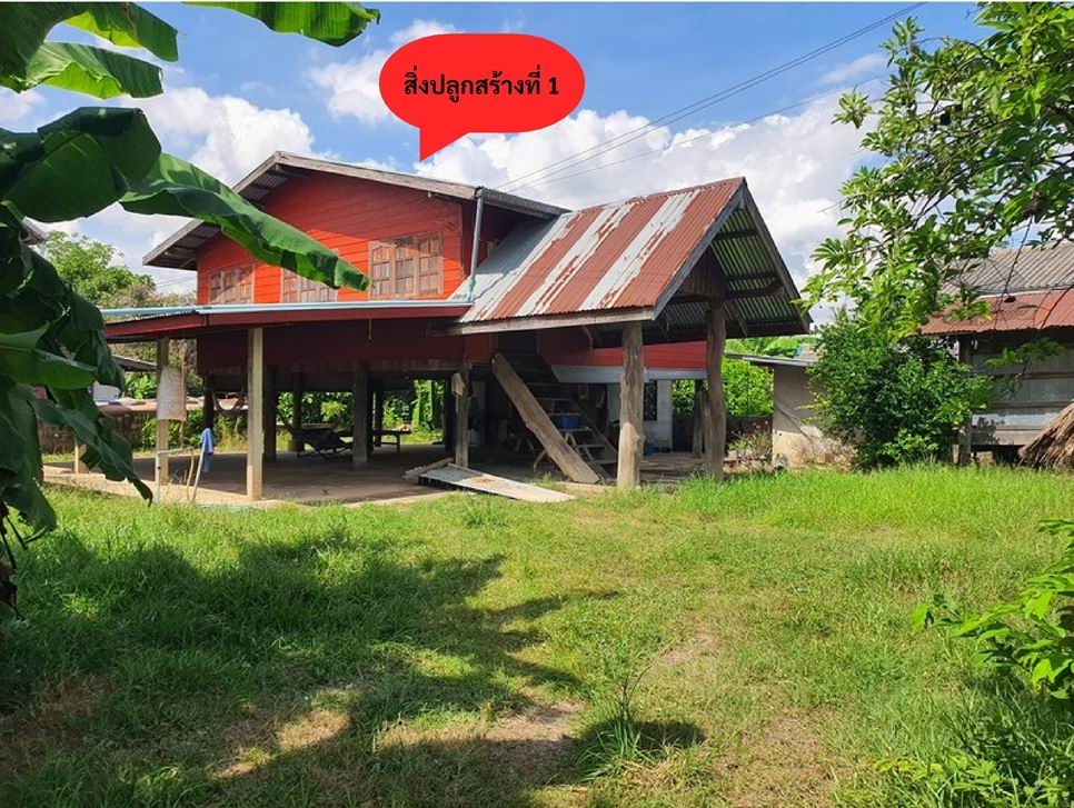 ขายทอดตลาด ที่ดินพร้อมสิ่งปลูกสร้าง ต.โคกงาม อ.บ้านฝาง จ.ขอนแก่น