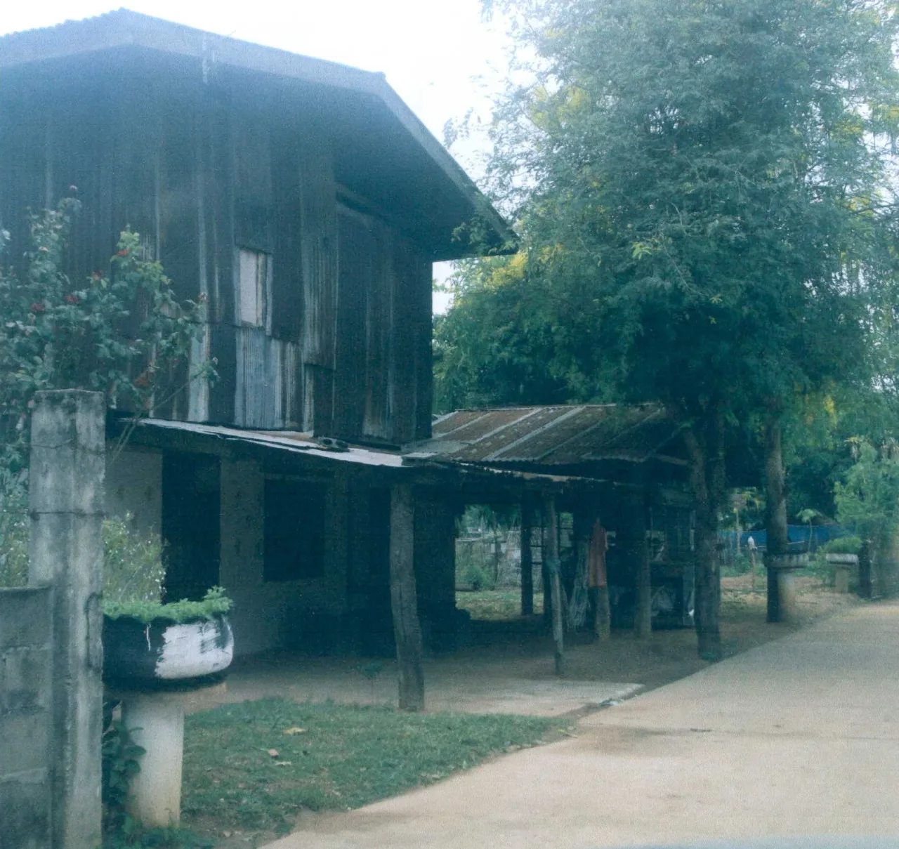 ขายทอดตลาด ที่ดินพร้อมสิ่งปลูกสร้าง ต.กุดตุ้ม อ.เมืองชัยภูมิ จ.ชัยภูมิ