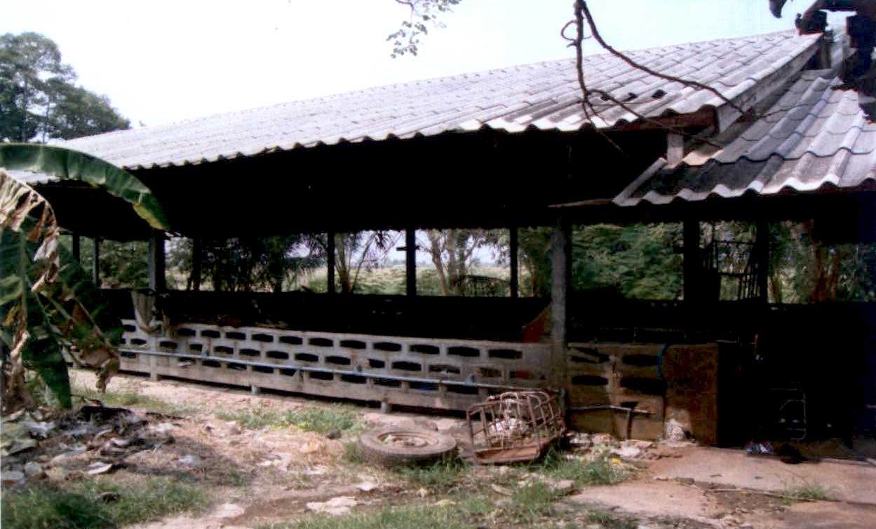 ขายทอดตลาด ที่ดินพร้อมสิ่งปลูกสร้าง ต.บึงสามัคคี อ.บึงสามัคคี จ.กำแพงเพชร