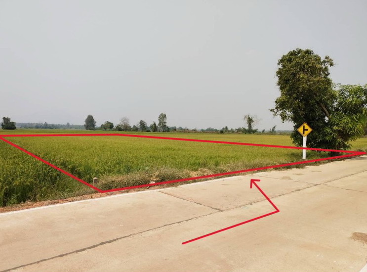 ขายทอดตลาด ที่ดินว่างเปล่า ต.ลานดอกไม้ตก อ.โกสัมพีนคร จ.กำแพงเพชร