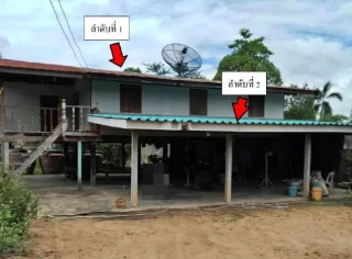 รูปทรัพย์ 2