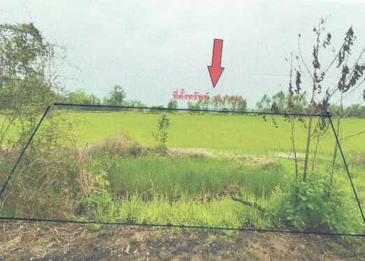 ขายทอดตลาด ที่ดินว่างเปล่า ต.เขาคีริส อ.พรานกระต่าย จ.กำแพงเพชร