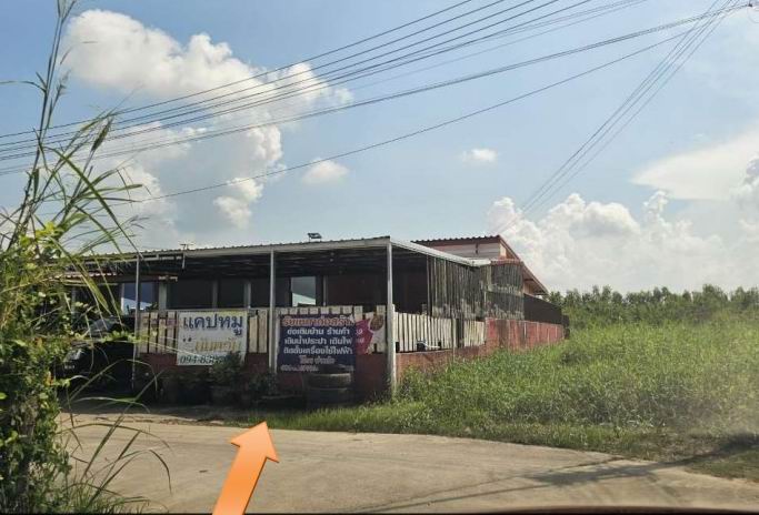 ขายทอดตลาด ที่ดินพร้อมสิ่งปลูกสร้าง ต.สลกบาตร อ.ขาณุวรลักษบุรี จ.กำแพงเพชร