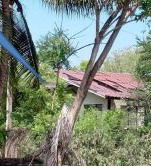 ขายทอดตลาด ที่ดินพร้อมสิ่งปลูกสร้าง ต.ดอนแฝก อ.นครชัยศรี จ.นครปฐม