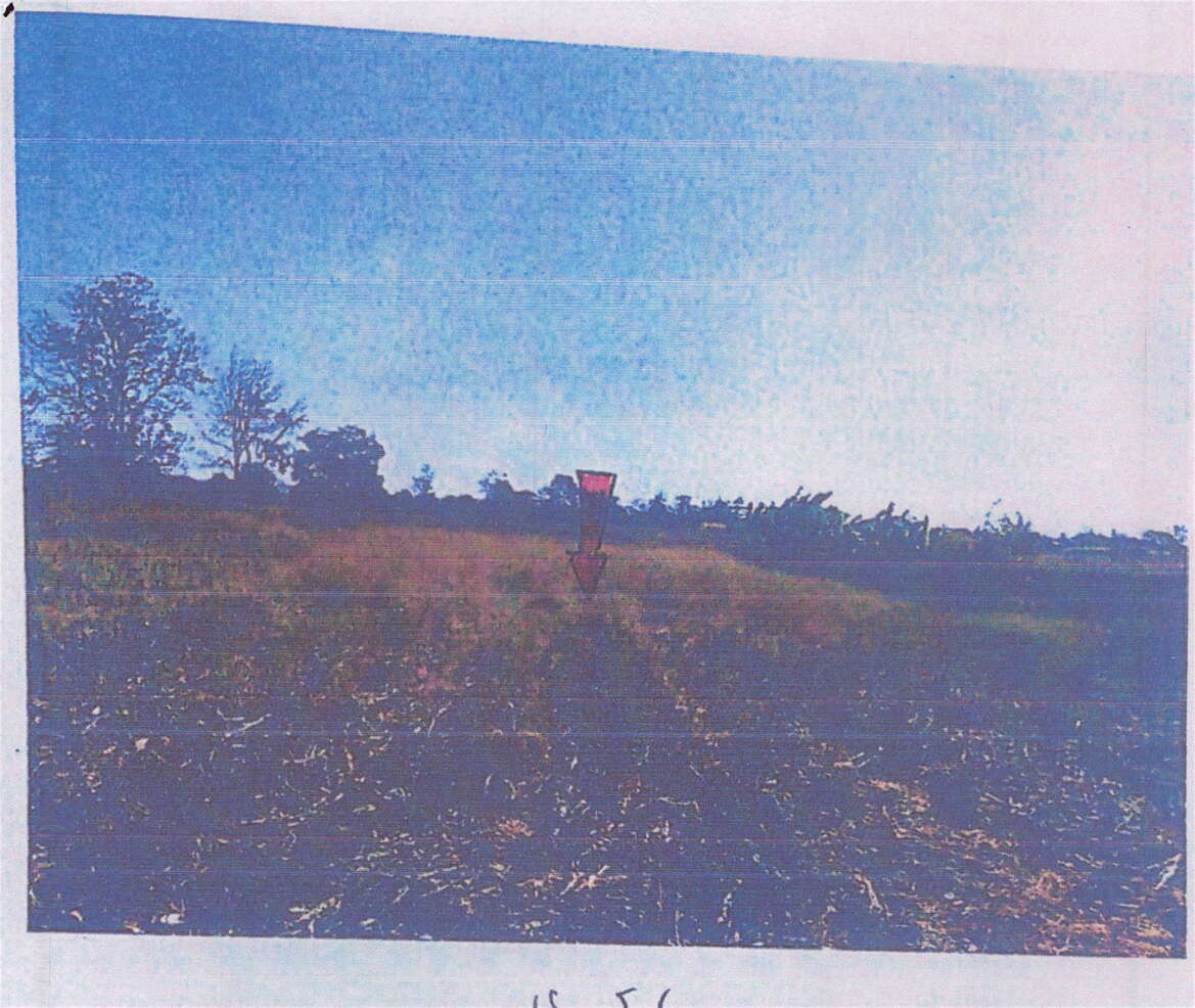 ขายทอดตลาด ที่ดินว่างเปล่า ต.หนองบัวโคก อ.จัตุรัส จ.ชัยภูมิ
