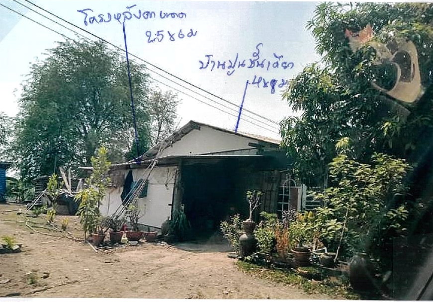 ขายทอดตลาด ที่ดินพร้อมสิ่งปลูกสร้าง ต.กระตีบ อ.กำแพงแสน จ.นครปฐม