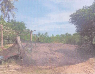 รูปทรัพย์ 1