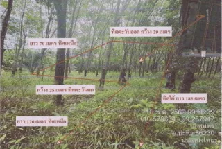 รูปทรัพย์ 2