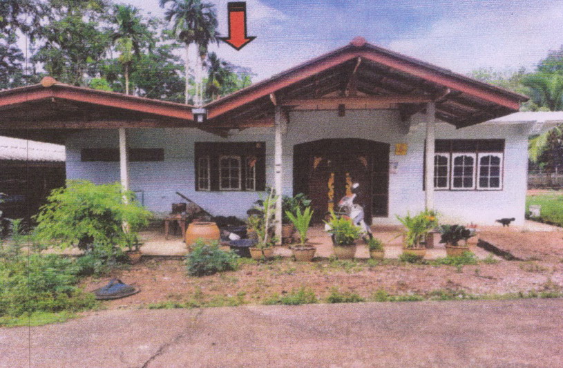 ขายทอดตลาด ที่ดินพร้อมสิ่งปลูกสร้าง ต.บางลึก อ.เมืองชุมพร จ.ชุมพร