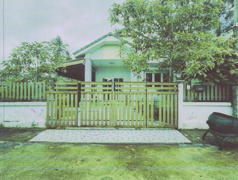 ขายทอดตลาด ที่ดินพร้อมสิ่งปลูกสร้าง ต.บางหมาก อ.เมืองชุมพร จ.ชุมพร