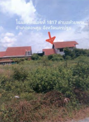 ขายทอดตลาด ที่ดินพร้อมสิ่งปลูกสร้าง ต.ห้วยพระ อ.ดอนตูม จ.นครปฐม