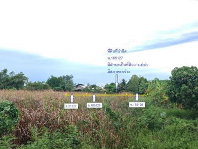 ขายทอดตลาด ที่ดินว่างเปล่า ต.วังเย็น อ.เมืองนครปฐม จ.นครปฐม